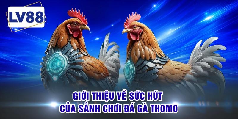 Giới thiệu về sức hút của sảnh chơi đá gà Thomo